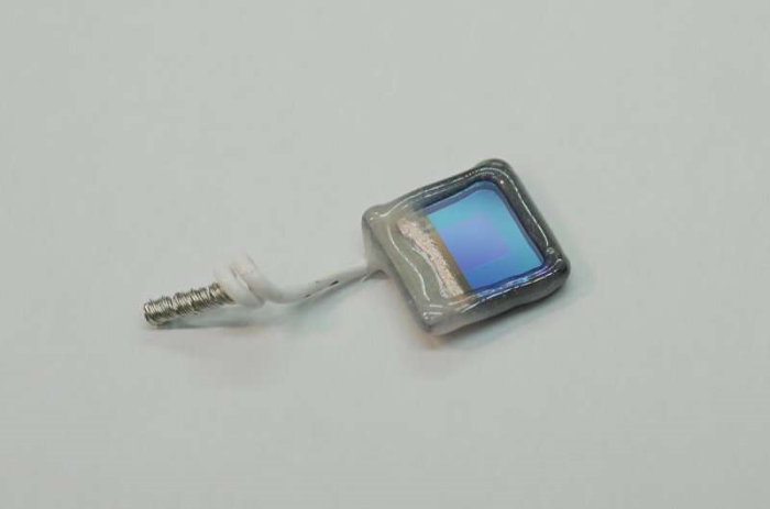 Lá sinh học điện tử giúp chuyển hóa CO2 thành chất hữu ích