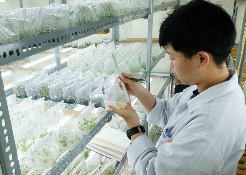 358894003751798161146