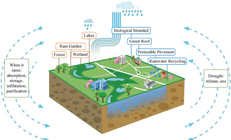 Số hóa quan trắc hạn mặn: Bước tiến công nghệ giúp Đồng bằng sông Cửu Long thích ứng biến đổi khí hậu