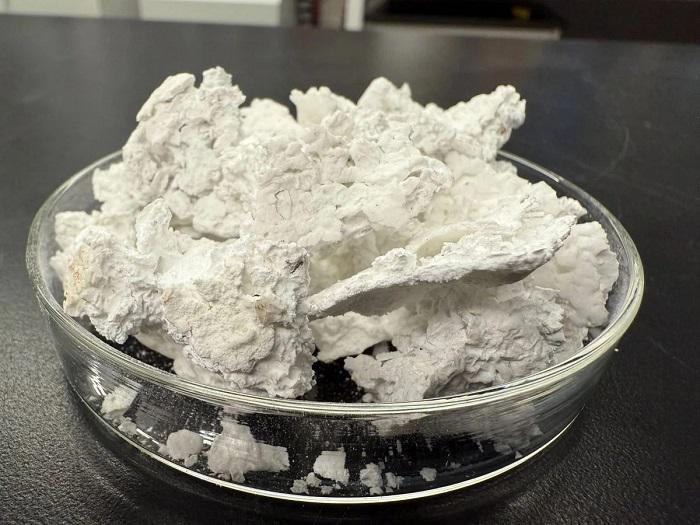 Carbon-Trapping-Construction-Material-Grown-From-Seawater-and-CO₂