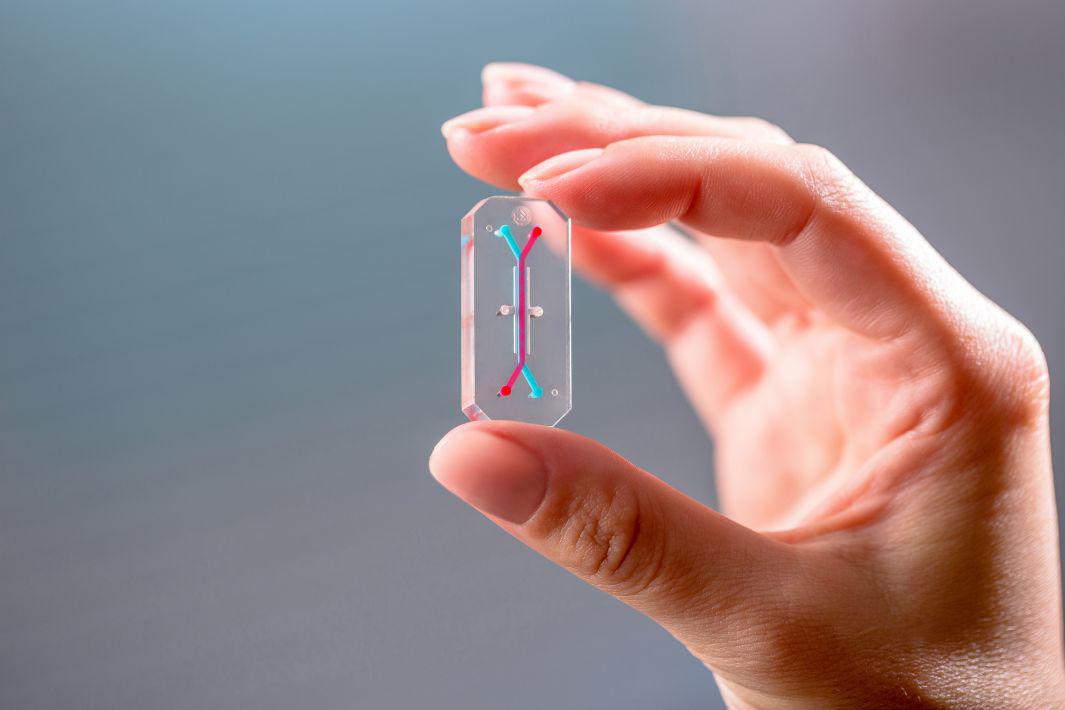 emulate-organ-chip-3000x2000px.jpg