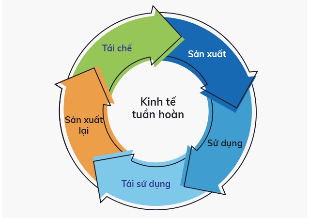 ISO 59040:2025 – Minh bạch dữ liệu vòng đời sản phẩm hướng tới kinh tế tuần hoàn