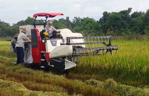 QCVN 90:2025/BNNMT – Siết chặt yêu cầu an toàn đối với máy gặt đập liên hợp trong cơ giới hóa nông nghiệp