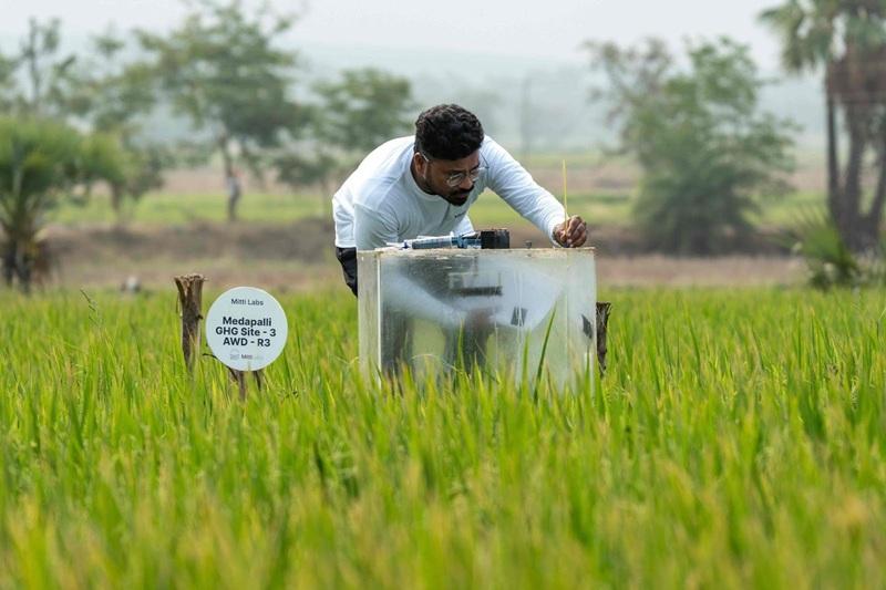 Mitti Labs: Công nghệ kiểm soát phát thải metan từ ruộng lúa