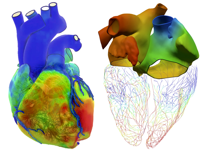Trái tim số hóa: Khi Y học bước vào kỷ nguyên dự đoán