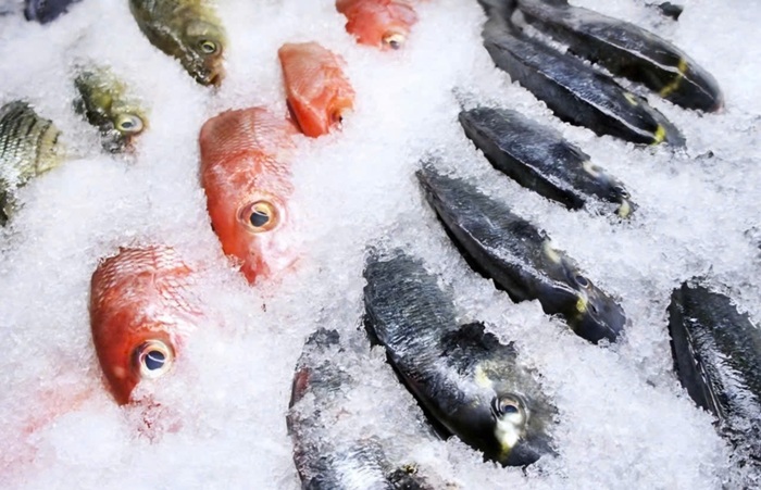 TCVN 14442:2025 – Tăng cường kiểm soát histamin, bảo đảm an toàn thủy sản Việt Nam